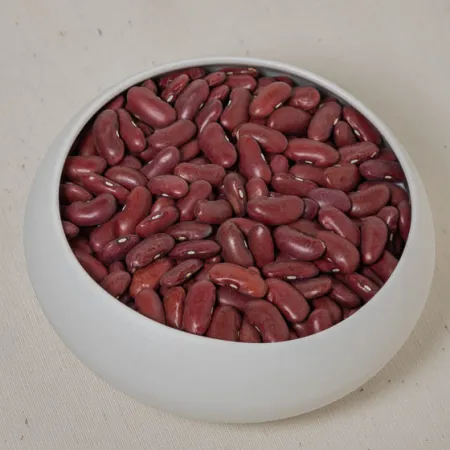 HARICOTS ROUGES FRANCE BIO