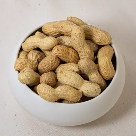 CACAHUETES COQUES BIO