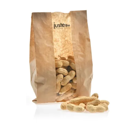 CACAHUETES COQUES BIO