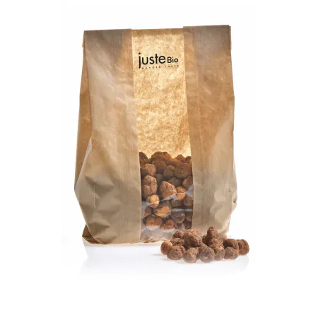 NOISETTES CARAMELISEES BIO