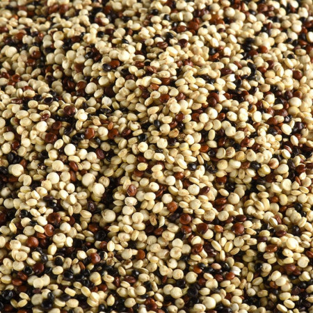 QUINOA TRICOLORE BIO EN VRAC