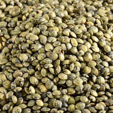 LENTILLES VERTES BIO EN VRAC