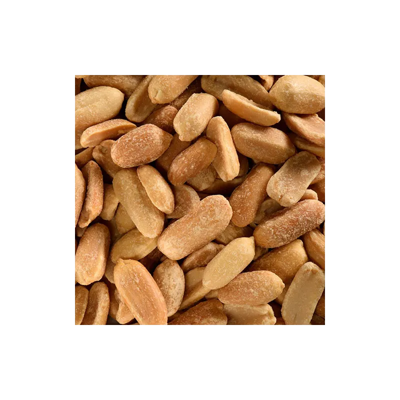 CACAHUETES GRILLEES SALEES BIO