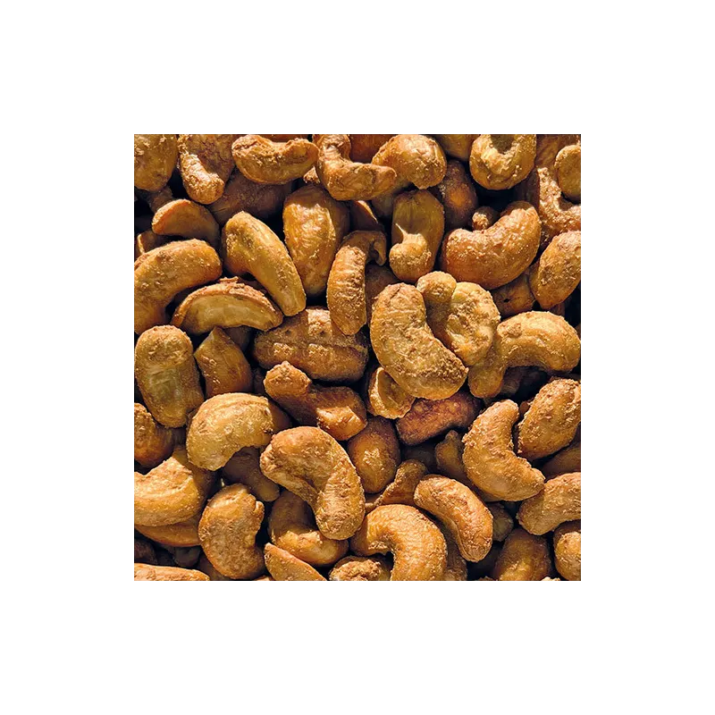 NOIX DE CAJOU OIGNON BIO