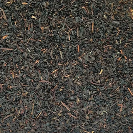 THE NOIR BREAKFAST BIO