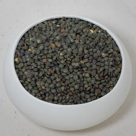 LENTILLES VERTES FRANCE BIO