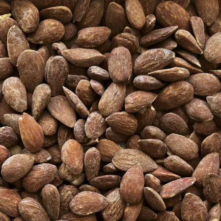 AMANDES GRILLEES SALEES BIO