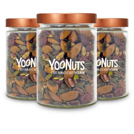 Lot de 3 bocaux en verre 580ml + couvercles