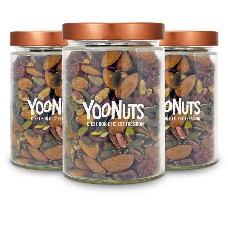 Lot de 3 bocaux en verre 580ml + couvercles