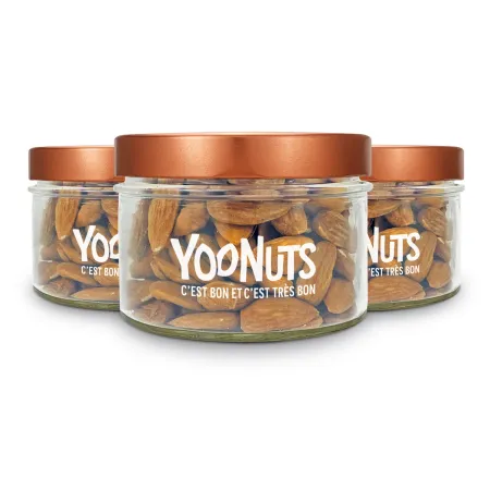 Lot de 3 bocaux en verre 262ml + couvercles