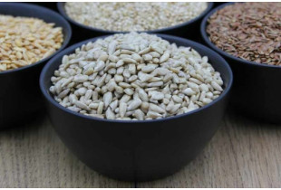 Les bienfaits des graines de tournesol